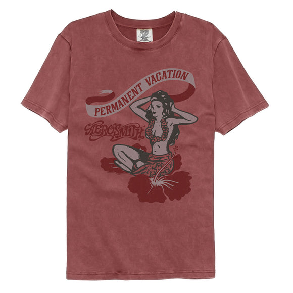 Aerosmith Permanent Vacation Brick Vintage Washed T-shirt