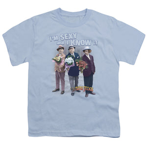 Three Stooges Kids T-Shirt Sexy and I Know it Light Blue Tee - Yoga Clothing for You
